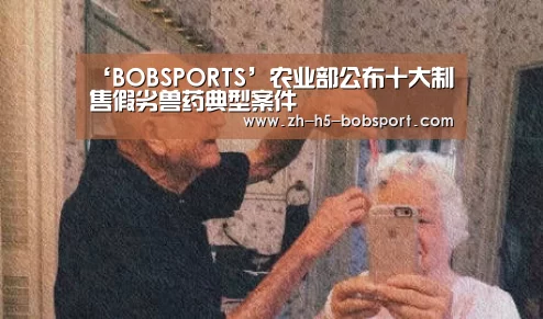 BOB体育平台