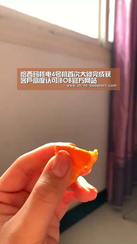 BOB体育平台