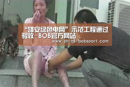 “雄安绿色电网”示范工程通过验收-BOB官方网站