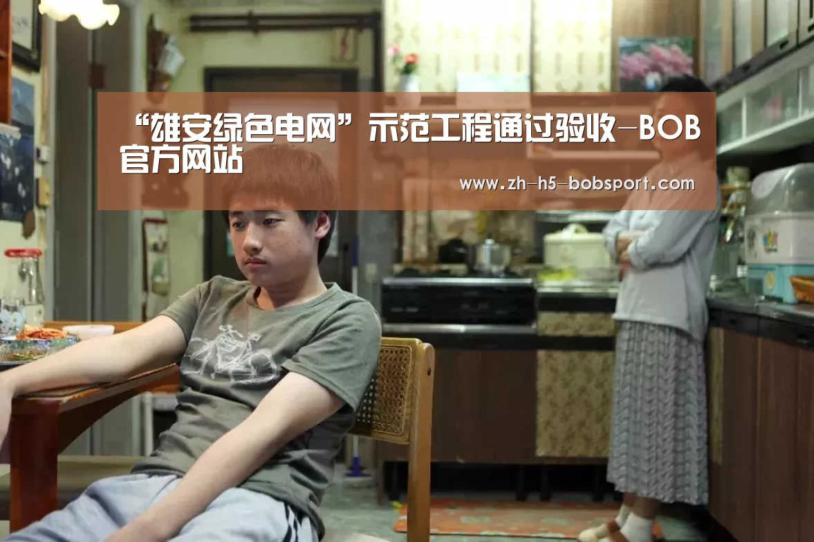 “雄安绿色电网”示范工程通过验收-BOB官方网站(图3) BOB官方网站
