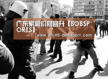 广东家禽价格回升【BOBSPORTS】