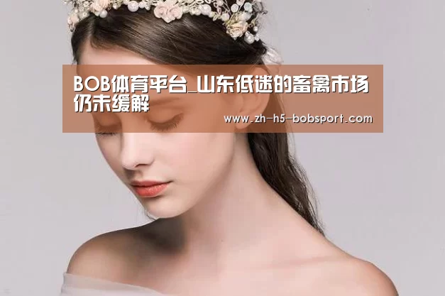 BOB体育平台_山东低迷的畜禽市场仍未缓解