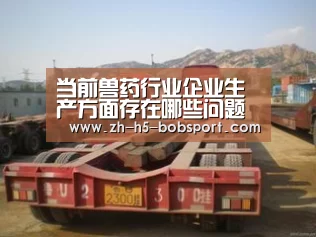 当前兽药行业企业生产方面存在哪些问题“BOB体育平台”(图4) BOB体育