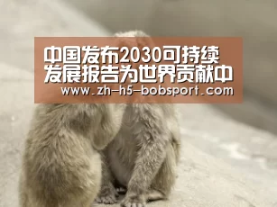 中国发布2030可持续发展报告为世界贡献中国减贫经验‘BOB体育平台’(图2)