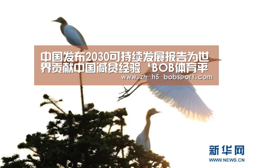中国发布2030可持续发展报告为世界贡献中国减贫经验‘BOB体育平台’(图3)