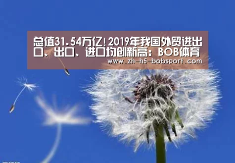 总值31.54万亿!2019年我国外贸进出口、出口、进口均创新高:BOB体育平台(图2) BOB体育