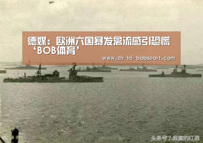 德媒：欧洲六国暴发禽流感引恐慌‘BOB体育’