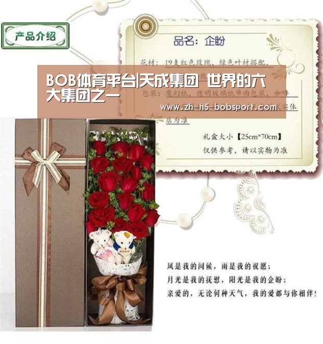 BOB体育平台|天成集团 世界的六大集团之一(图1) BOB体育