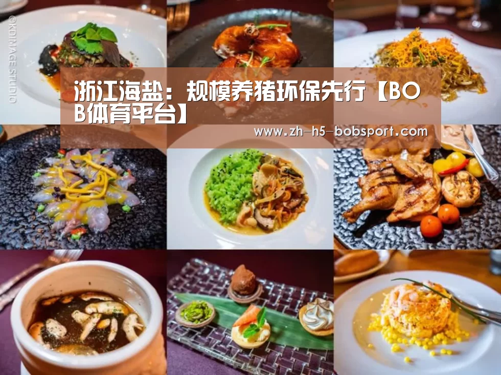 浙江海盐：规模养猪环保先行【BOB体育平