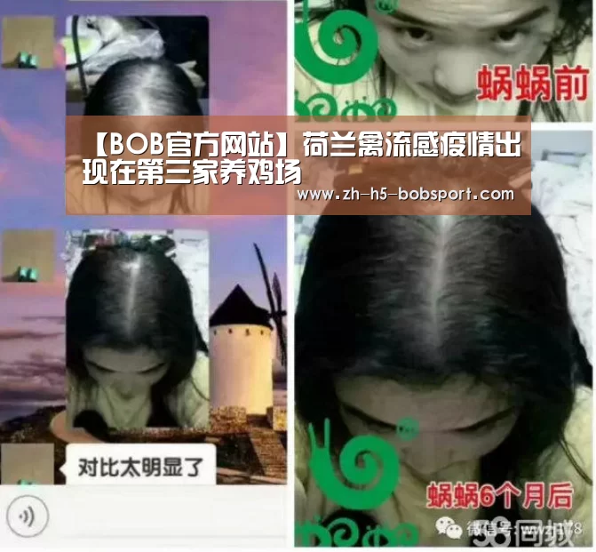 【BOB官方网站】荷兰禽流感疫情出现在第三家养鸡场