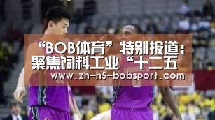 BOB体育