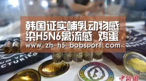 韩国证实哺乳动物感染H5N6禽流感 鸡蛋价格飙升-BOB体育平台