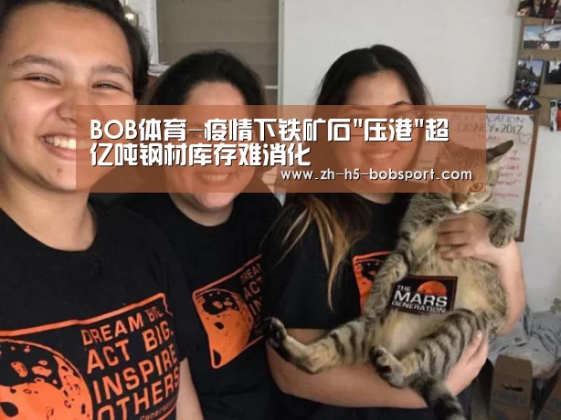 BOB体育-疫情下铁矿石