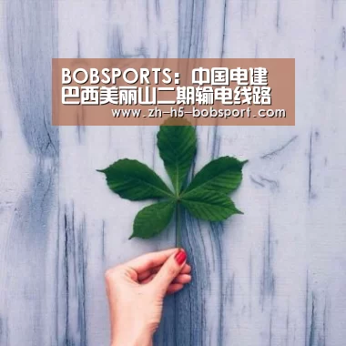 BOBSPORTS：中国电建巴西美丽山二