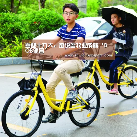 喜迎十九大，数说畜牧业成就‘BOB体育’