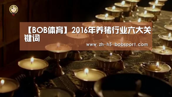 【BOB体育】2016年养猪行业六大关键